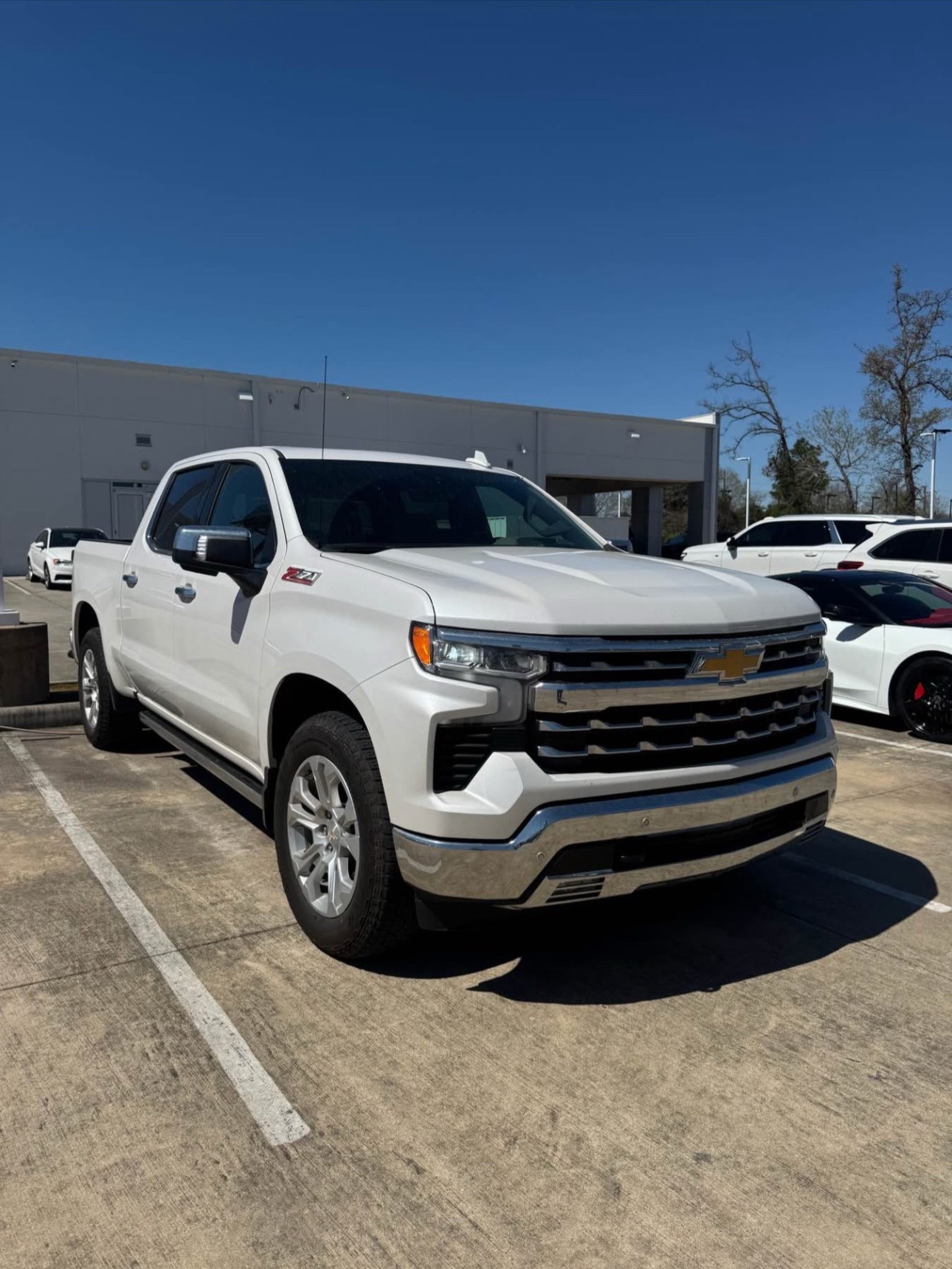 Buy 2023 CHEVROLET SILVERADO 1500 no