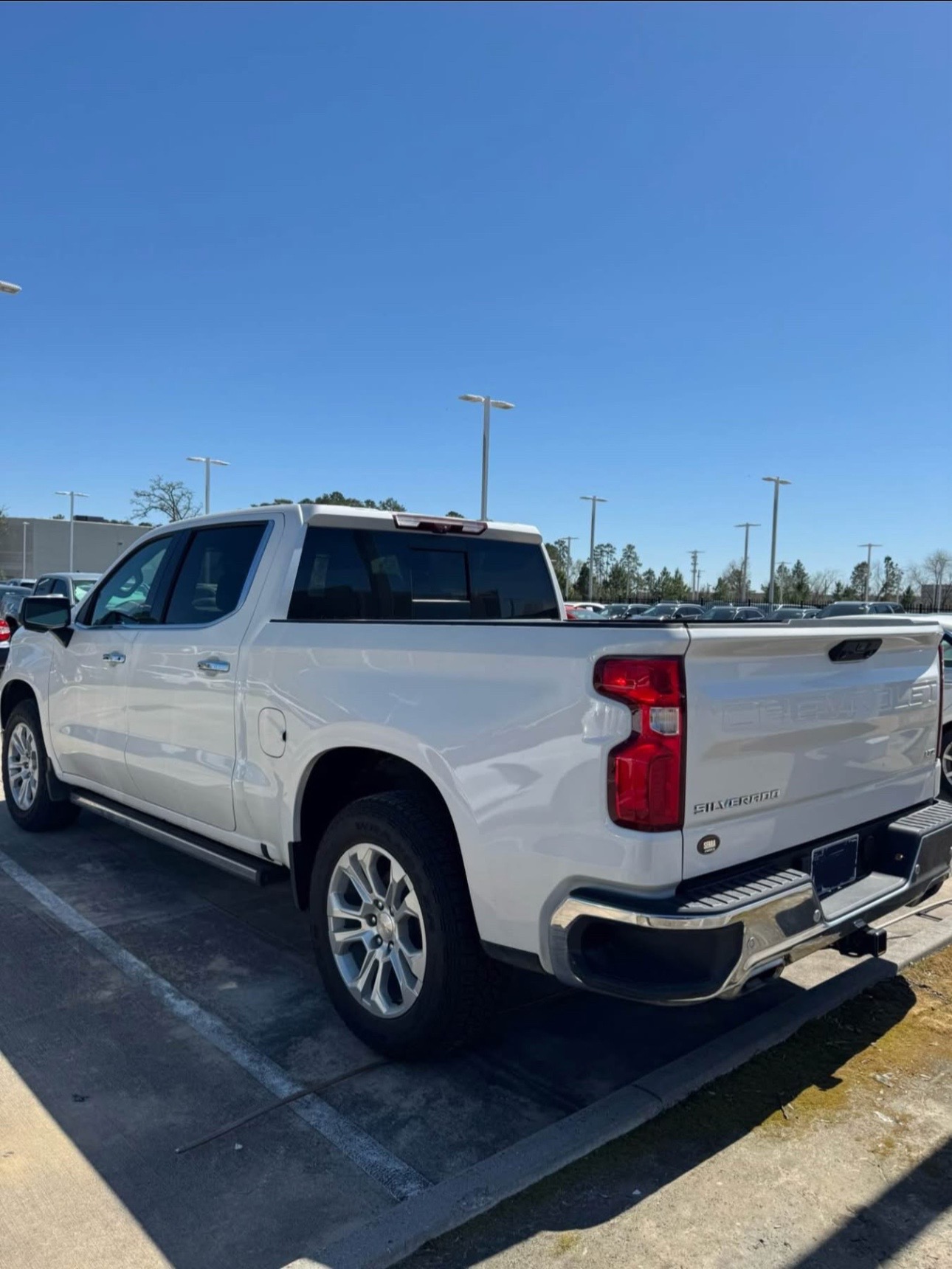 Buy 2023 CHEVROLET SILVERADO 1500 no