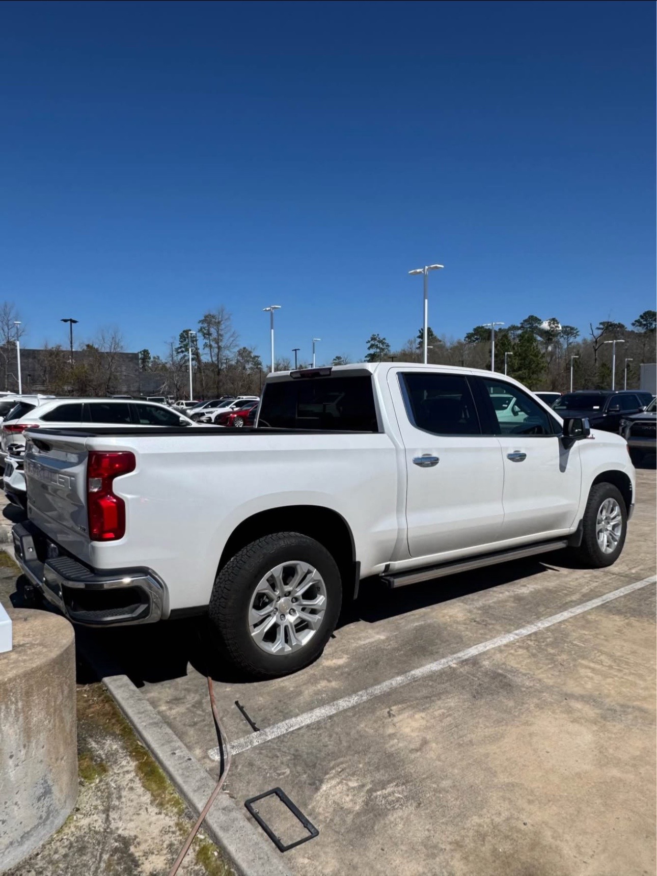 Buy 2023 CHEVROLET SILVERADO 1500 no