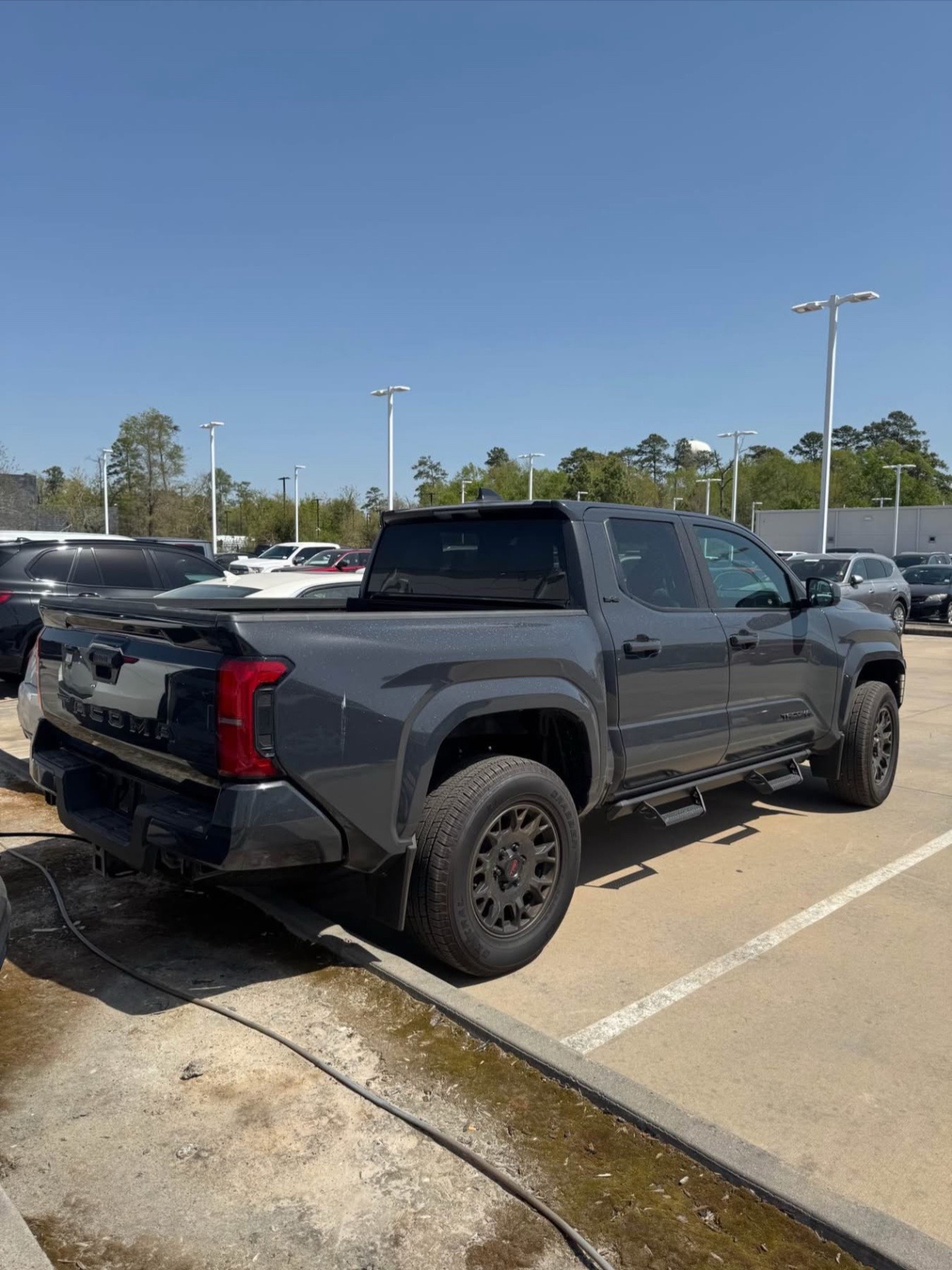 Buy 2024 TOYOTA TACOMA SR5 limited