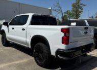 Buy 2023 CHEVROLET SILVERADO 1500 no