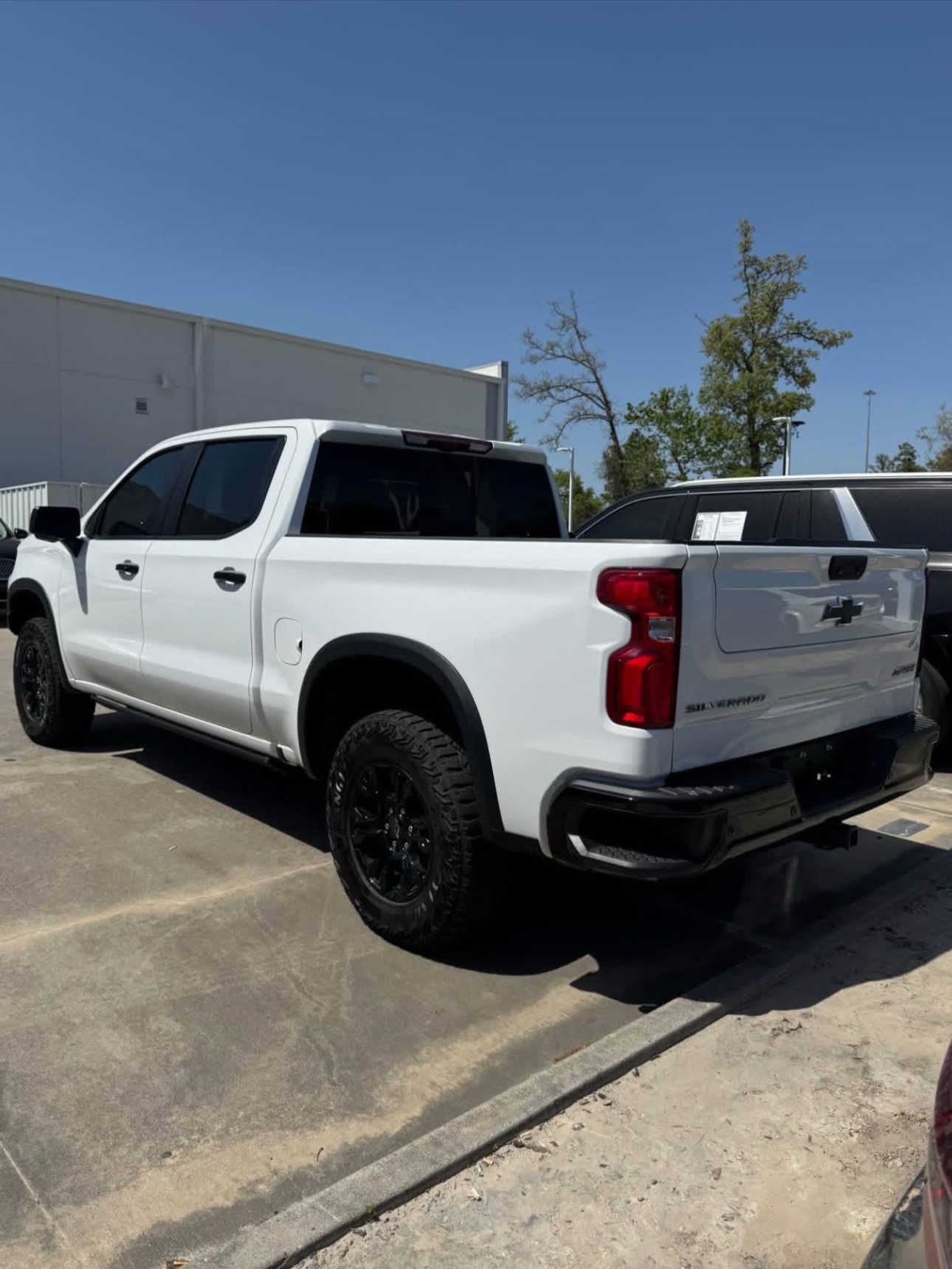 Buy 2023 CHEVROLET SILVERADO 1500 no
