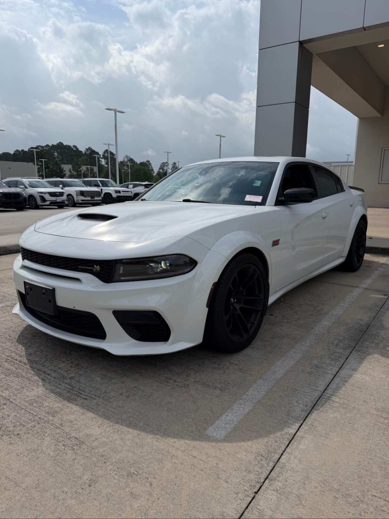 BUY 2023 DODGE CHARGER 392 SCAT PACK YES