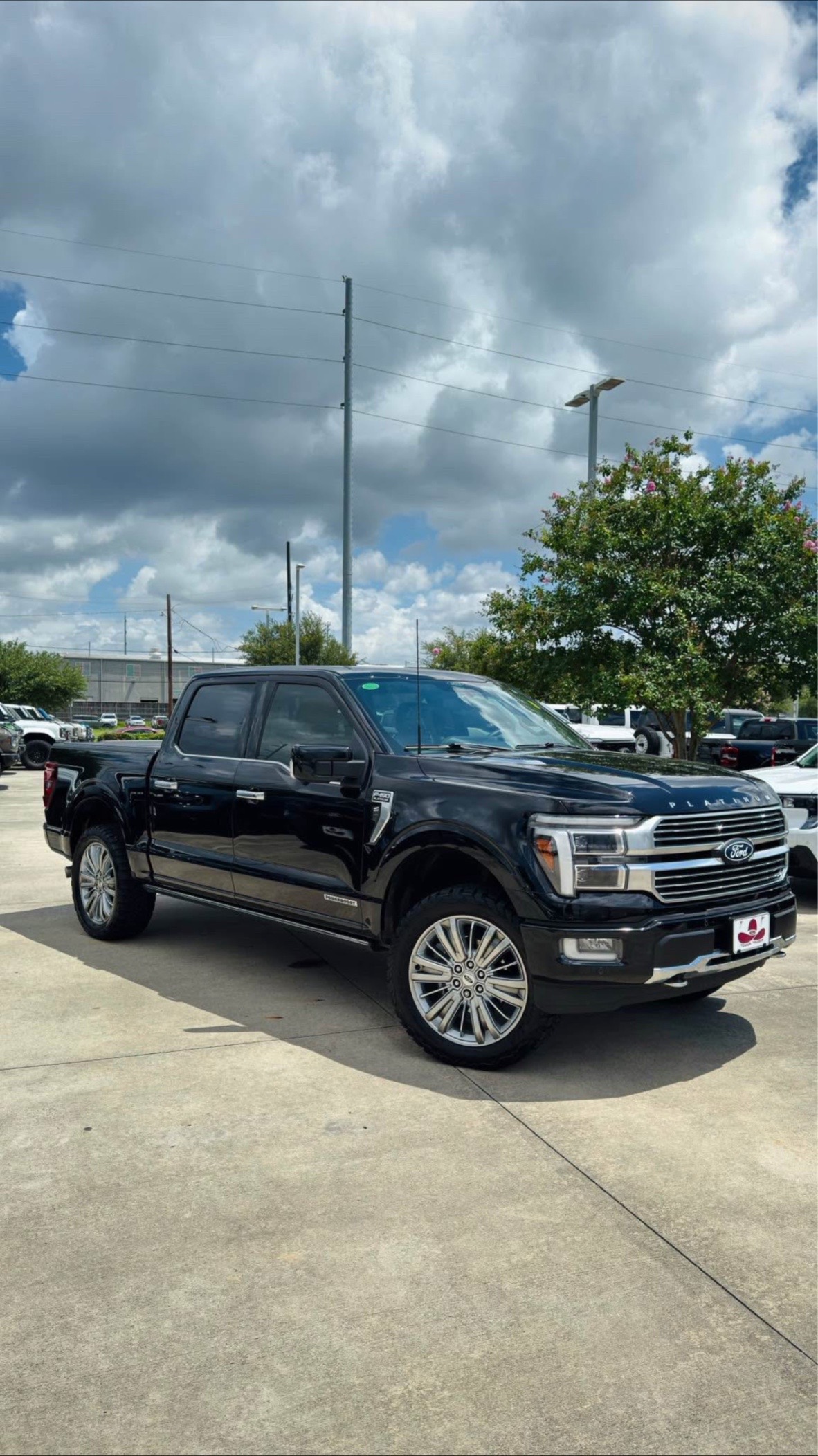 BUY 2024 FORD F-150 SUPERCREW PLATINUM YES