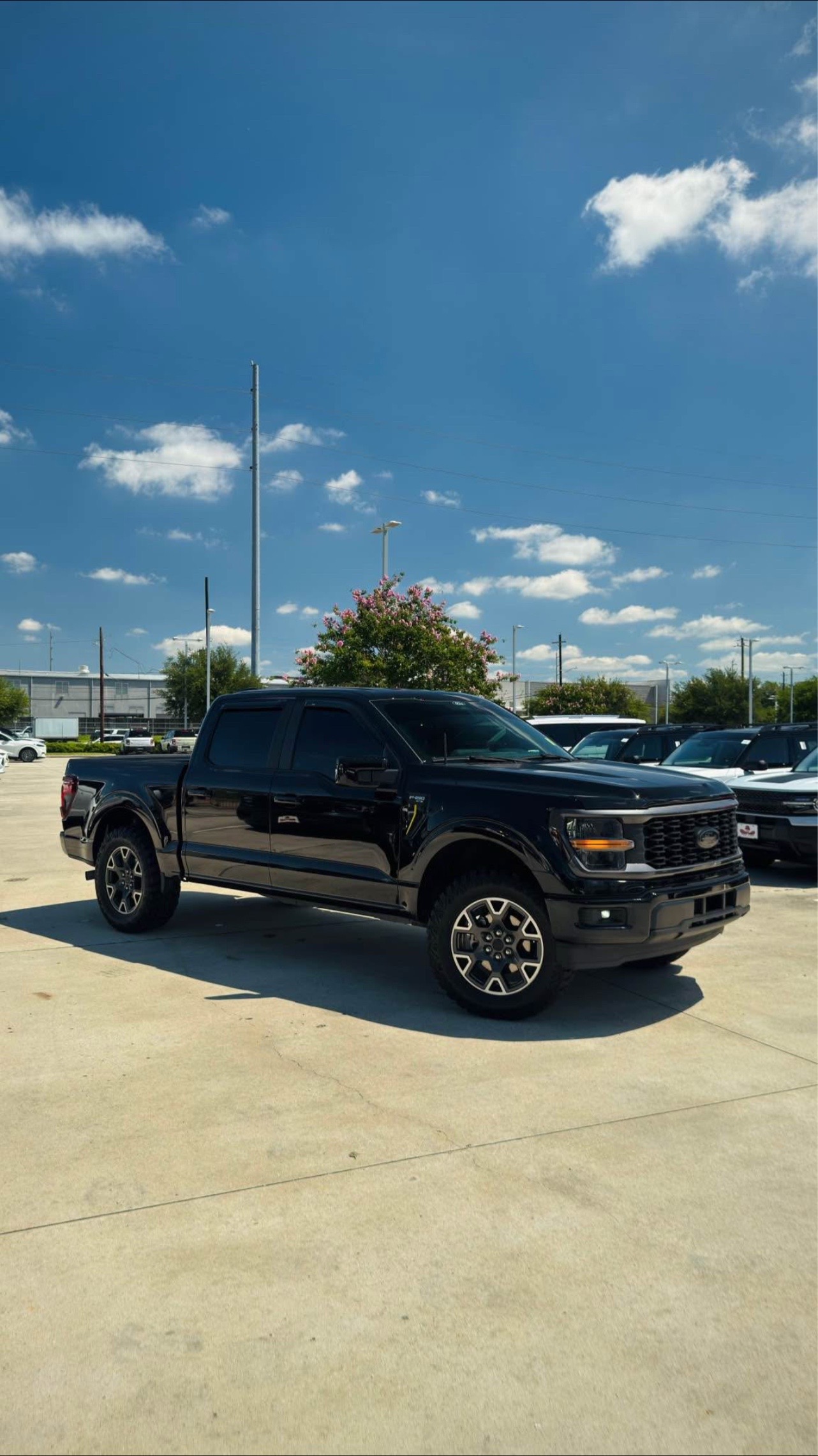 2025 FORD F-150 SUPERCREW STX